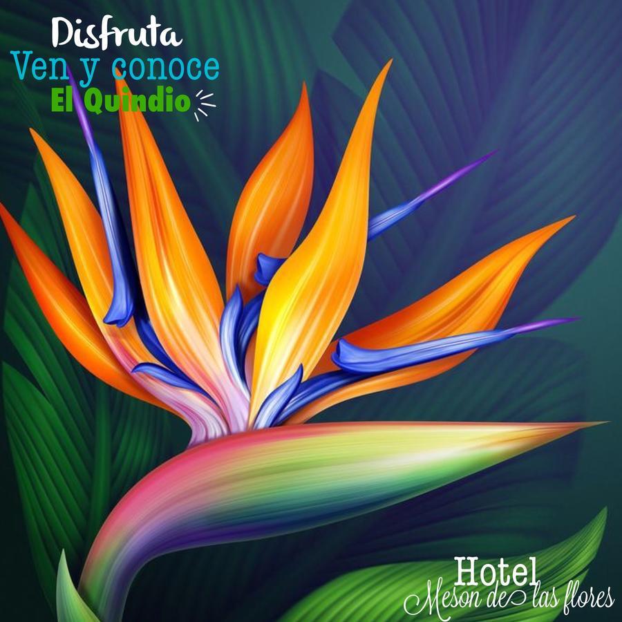 Hotel Meson De Las Flores Armenia  Zewnętrze zdjęcie
